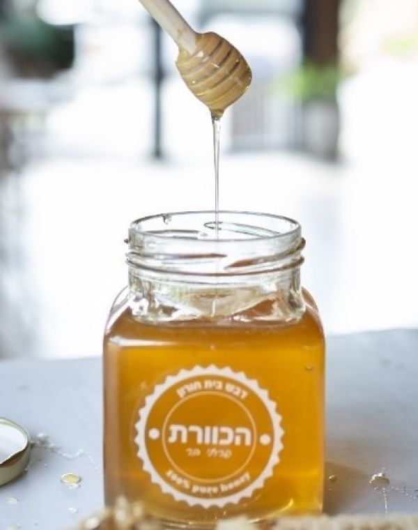 תמונה של מרכז מבקרים הכוורת: בילוי מתוק מדבש לכל המשפחה - למטייל בישראל (טיולי)